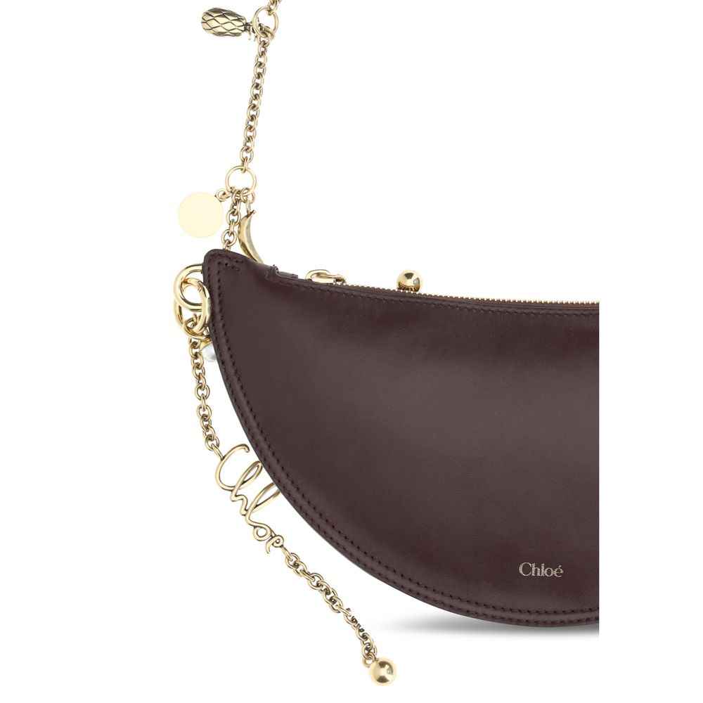 Chloé Ovis Aries Aries brown lambskin shoulder bag front view with logo detail